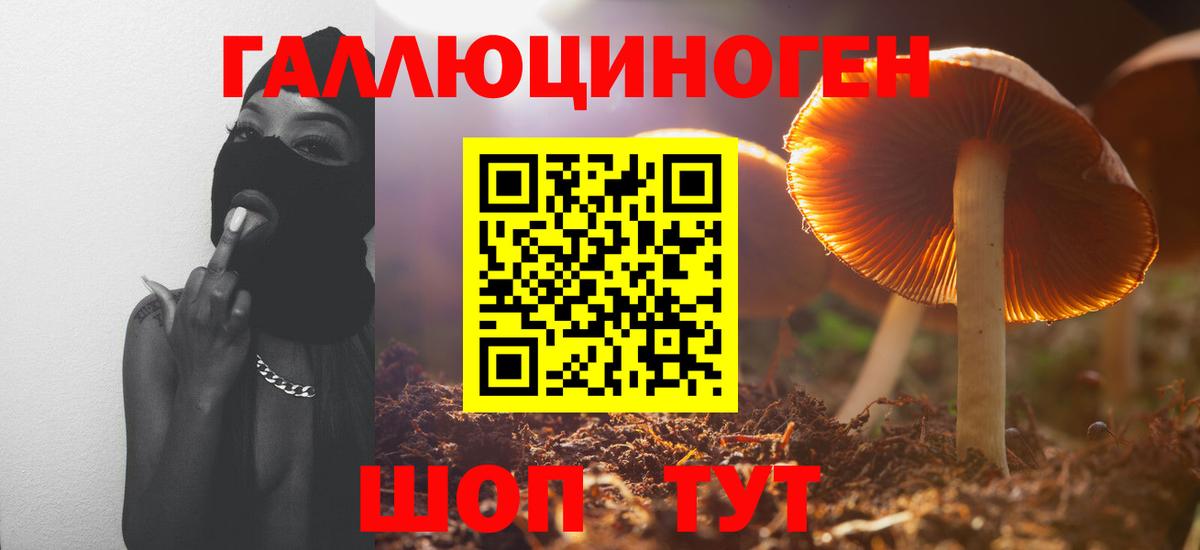 Кувандык  Галлюциногенные грибы Psilocybine cubensis  Вход с VPN 